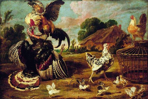 The fight between a turkey and a rooster., Paul de Vos